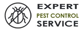 Expert Exterminator Co Edmonds WA